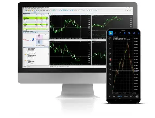 HFM — Larawan ng produkto at serbisyo mula sa opisyal na website
